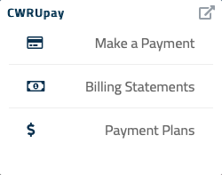 Define the progression and enrollments of Bluesnap payments.