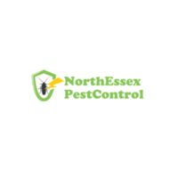 A Comprehensive Guide to Pest Control in Chelmsford, Essex